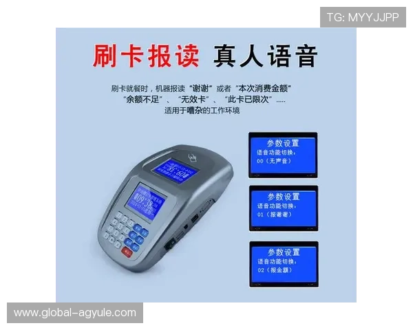 中国集团DB真人旗舰平台深度分析，满足不同玩家的多样化娱乐需求